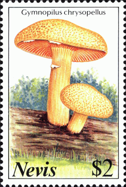 Briefmarke