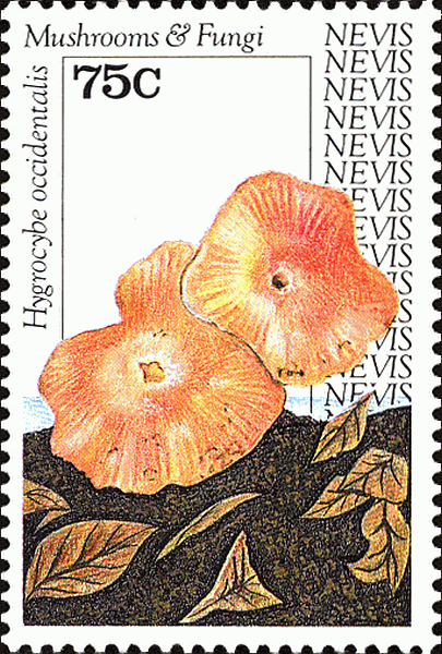 Briefmarke