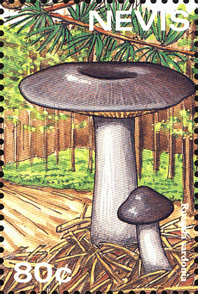Briefmarke