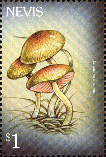 Briefmarke