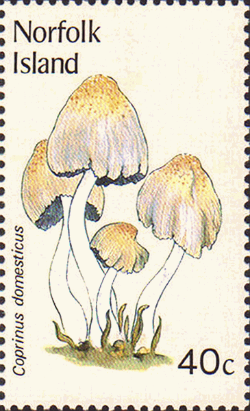 Briefmarke
