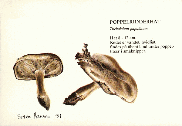 Sonderbriefumschlag