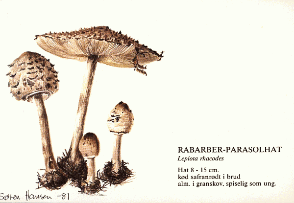 Sonderbriefumschlag