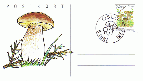 Sonderpostkarte