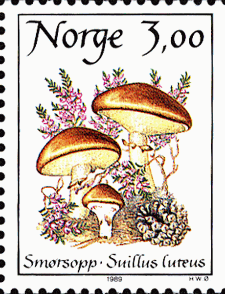 Briefmarke