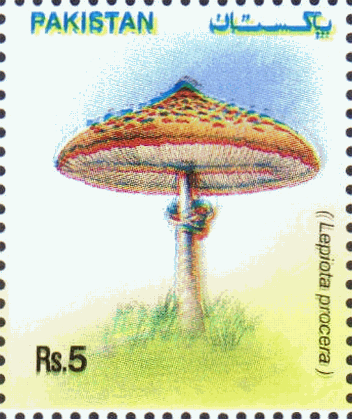 Briefmarke