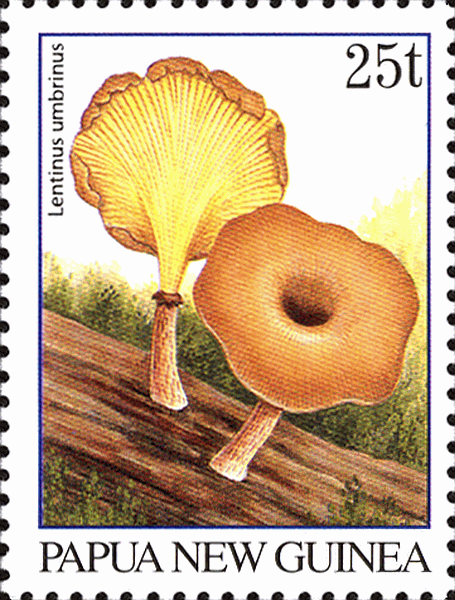 Briefmarke
