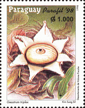 Briefmarke