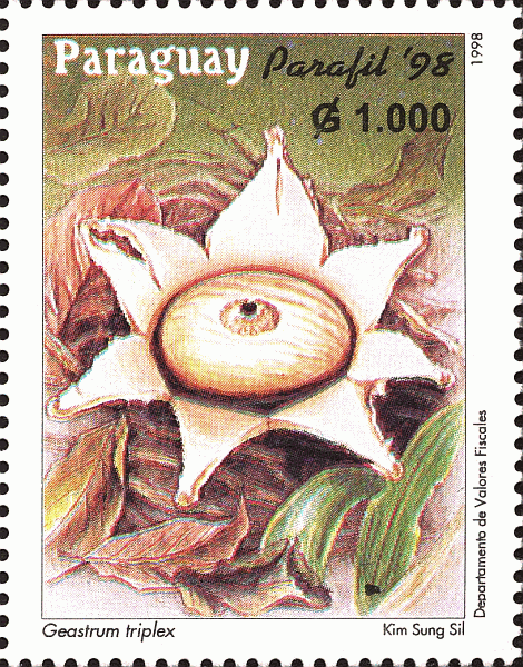Briefmarke