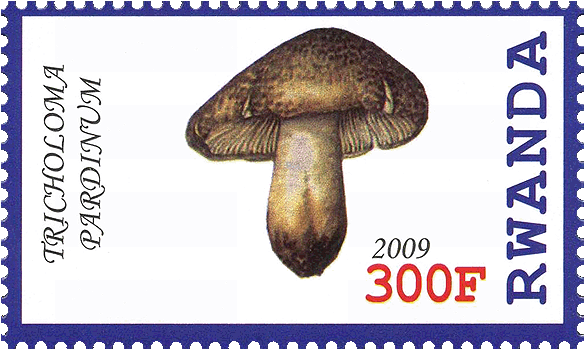 Briefmarke