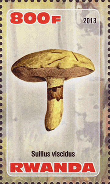 Briefmarke