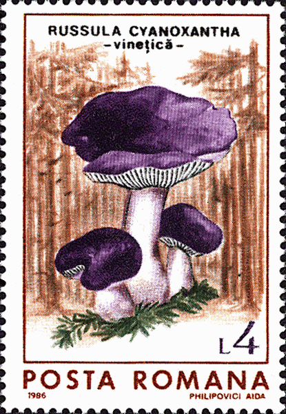 Briefmarke