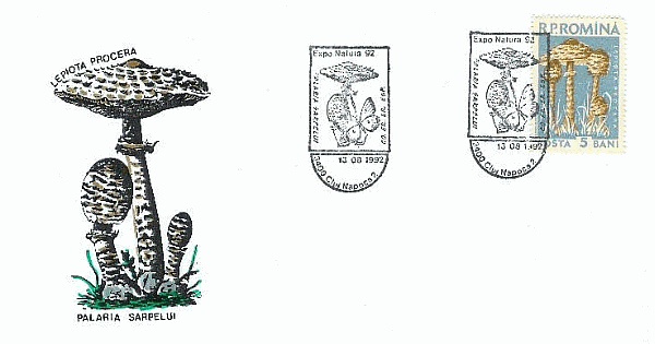 Sonderbriefumschlag