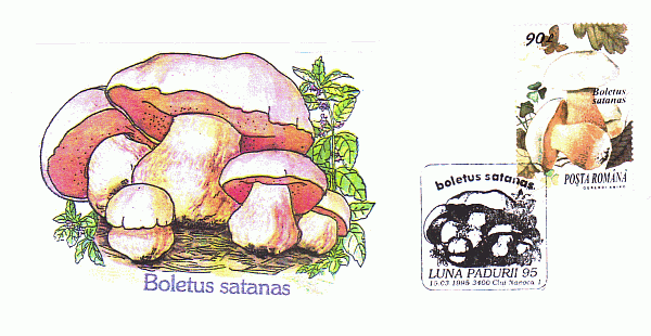 Sonderbriefumschlag