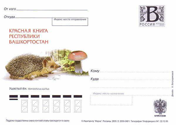 Bildpostkarte