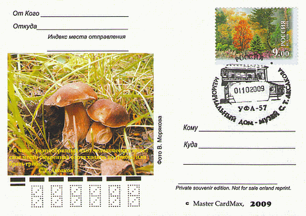 Bildpostkarte