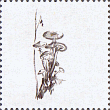 illustriertes Leerfeld