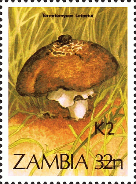 Briefmarke