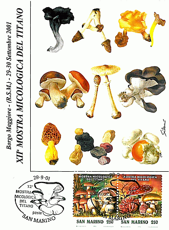 Maximumkarte