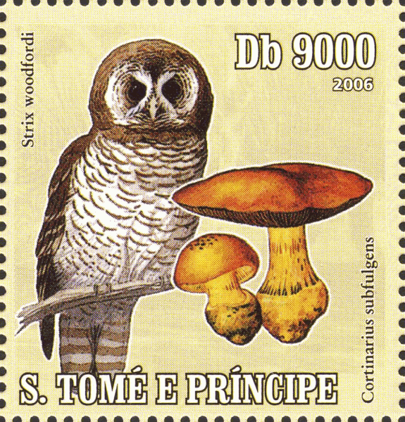 Briefmarke