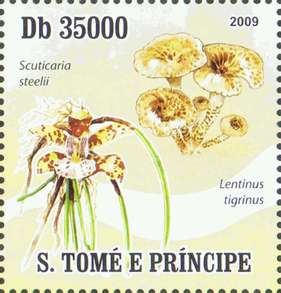 Briefmarke