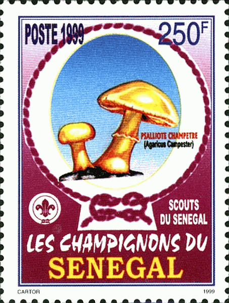 Briefmarke