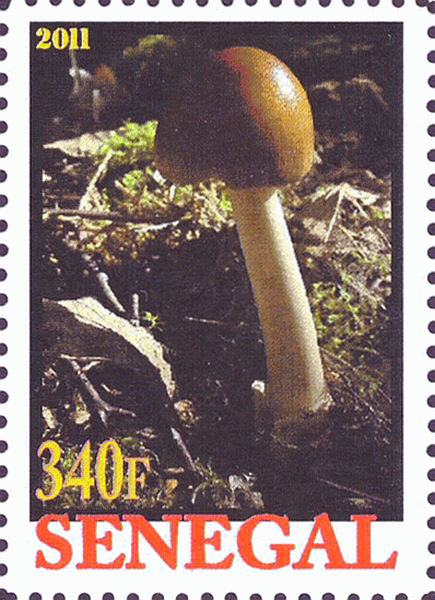 Briefmarke