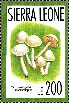Briefmarke