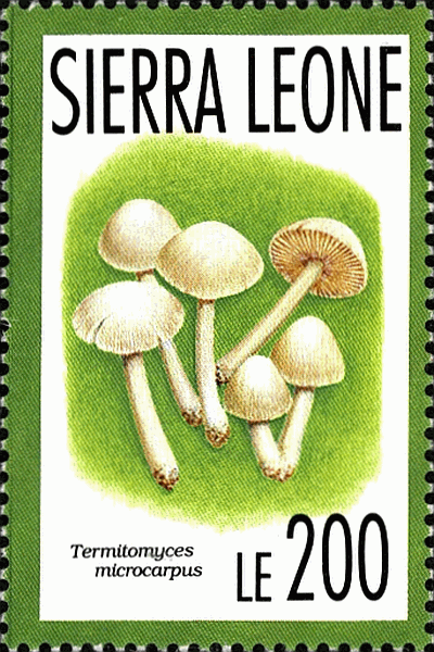 Briefmarke