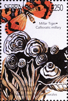 Briefmarke