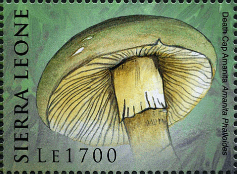 Briefmarke