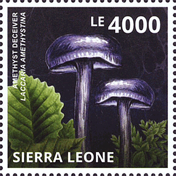 Briefmarke