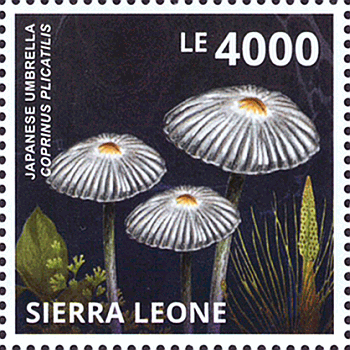 Briefmarke