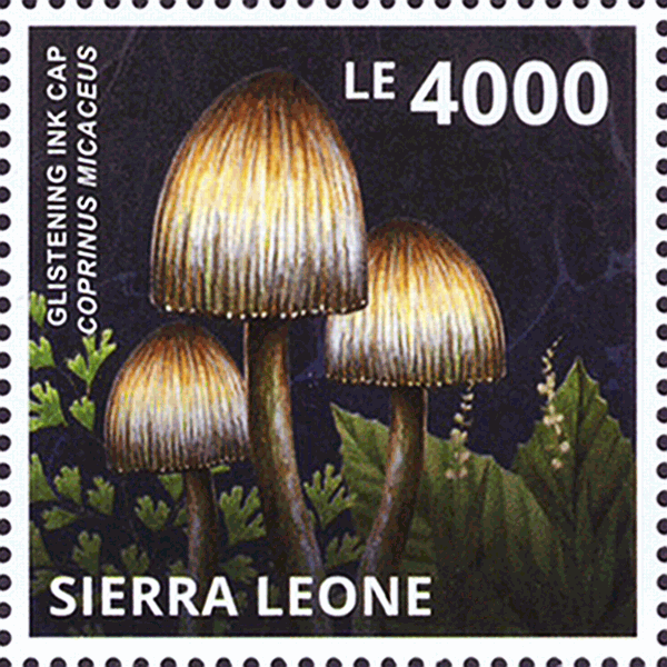 Briefmarke