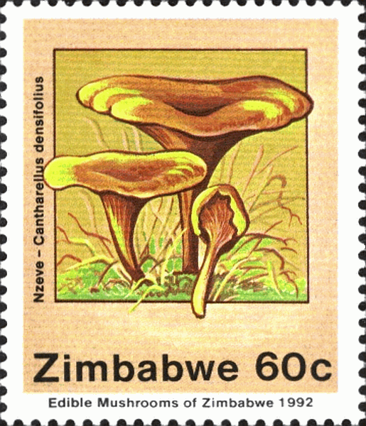 Briefmarke