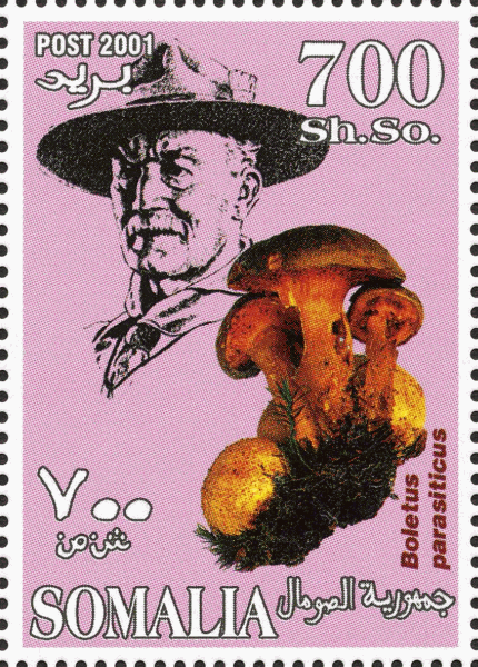 Briefmarke