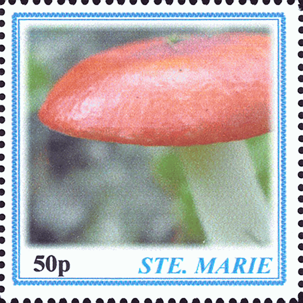 Briefmarke