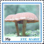 Briefmarke