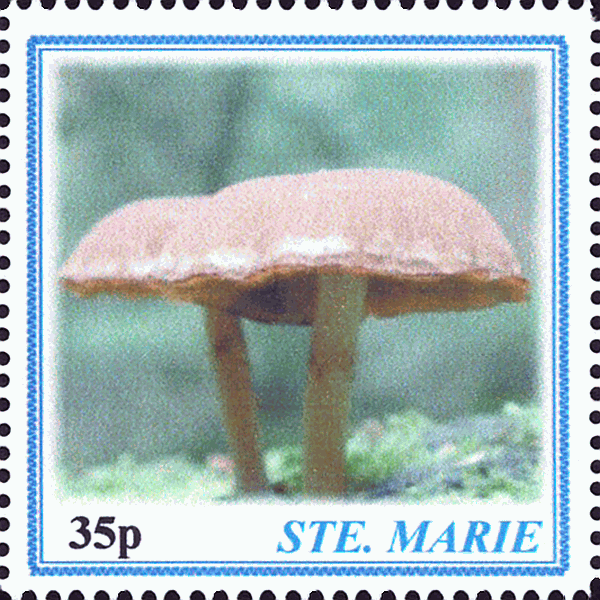 Briefmarke