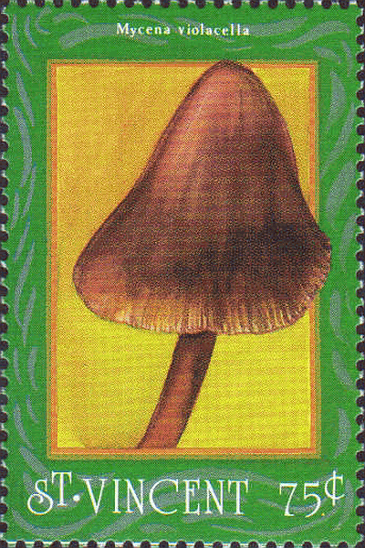 Briefmarke
