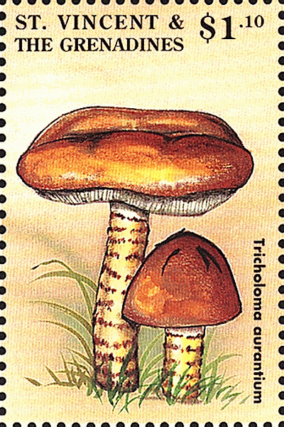 Briefmarke