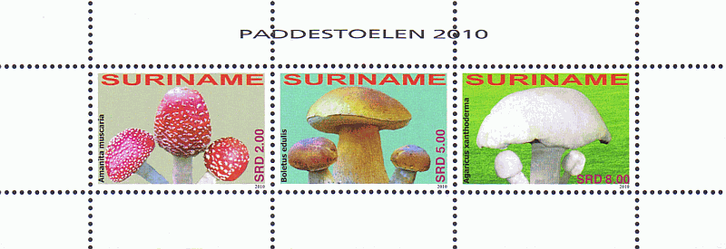 Kleinbogen