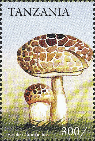 Briefmarke