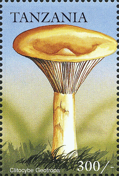 Briefmarke