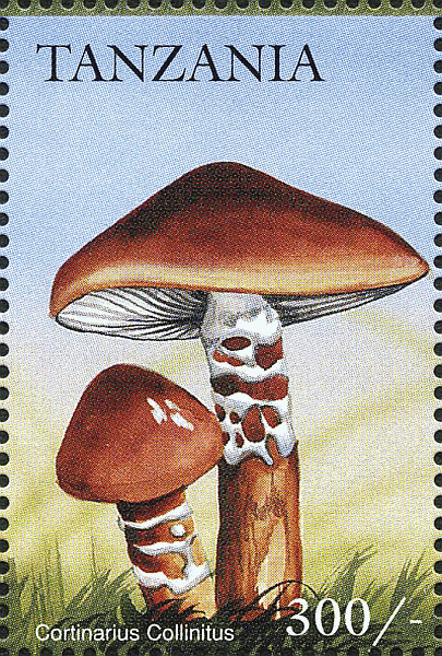 Briefmarke