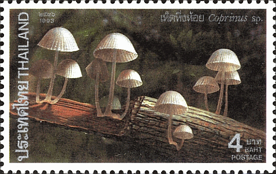 Briefmarke