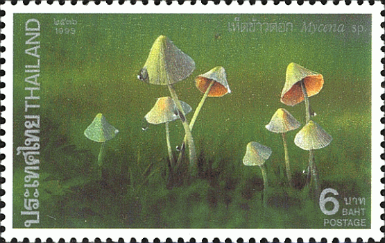 Briefmarke