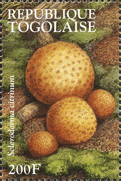 Briefmarke