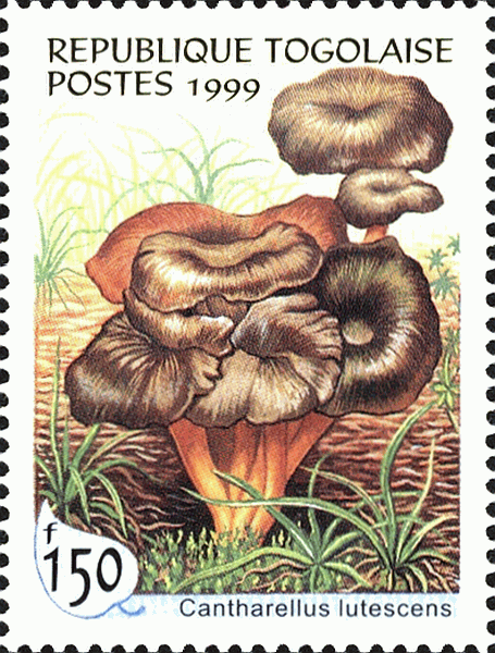 Briefmarke