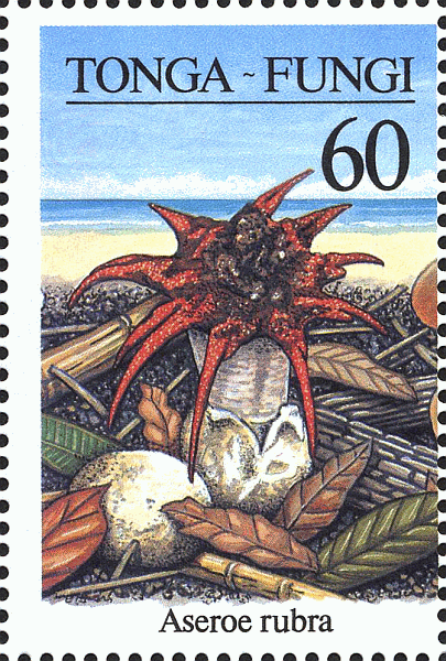 Briefmarke